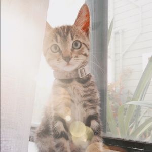 Meet your Posher, Megan